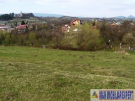 vand-teren-intravilan-1-ha-flamanda-campulung-muscel-arges-ideal-pentru-dezvoltare-rezidentiala-sau-comerciala-1