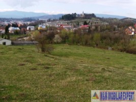 vand-teren-intravilan-1-ha-flamanda-campulung-muscel-arges-ideal-pentru-dezvoltare-rezidentiala-sau-comerciala-3