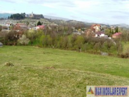 vand-teren-intravilan-1-ha-flamanda-campulung-muscel-arges-ideal-pentru-dezvoltare-rezidentiala-sau-comerciala-4