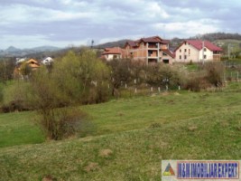 vand-teren-intravilan-1-ha-flamanda-campulung-muscel-arges-ideal-pentru-dezvoltare-rezidentiala-sau-comerciala-5