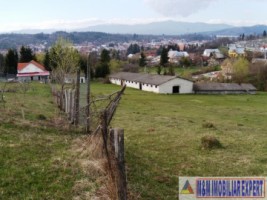 vand-teren-intravilan-1-ha-flamanda-campulung-muscel-arges-ideal-pentru-dezvoltare-rezidentiala-sau-comerciala-6