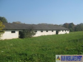 vand-teren-intravilan-1-ha-flamanda-campulung-muscel-arges-ideal-pentru-dezvoltare-rezidentiala-sau-comerciala-9