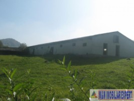 vand-teren-intravilan-1-ha-flamanda-campulung-muscel-arges-ideal-pentru-dezvoltare-rezidentiala-sau-comerciala-14