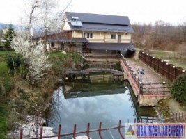 vila-pensiune-cu-9-camere-si-teren-de-2400-mp-de-vanzare-mihaesti-arges-investitire-in-turism-15