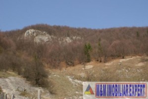 teren-5680-mp-intra-extravilan-de-vanzare-in-gura-izvorului-ciocanu-dambovicioara-arges-ideal-pentru-proiecte-turistice-si-rezidentiale-1