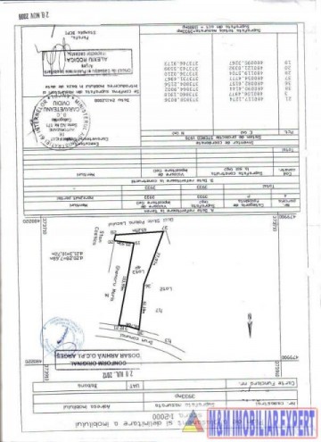 teren-intravilan-3933-mp-de-vanzare-in-babana-arges-ideal-pentru-constructii-rezidentiale-sau-agricole-1