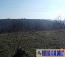 teren-intravilan-3933-mp-de-vanzare-in-babana-arges-ideal-pentru-constructii-rezidentiale-sau-agricole-2