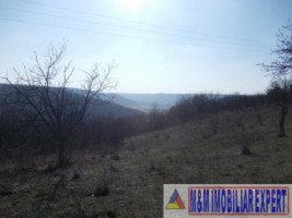 teren-intravilan-3933-mp-de-vanzare-in-babana-arges-ideal-pentru-constructii-rezidentiale-sau-agricole-4