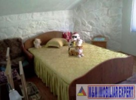 casa-de-vacanta-7-camere-de-vanzare-in-huedin-valea-draganului-cluj-ideala-pentru-relaxare-8