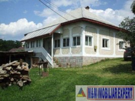 casa-cu-3-camere-si-teren-de-6000-mp-in-valea-mare-pravat-investitie-ideala-2