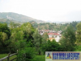 teren-extravilan-5000-mp-de-vanzare-rucar-arges-ideal-pentru-activitati-agricole-sau-proiecte-de-turism-rural