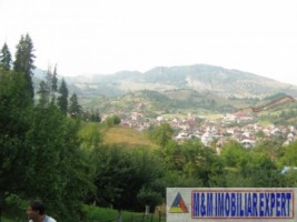 teren-extravilan-5000-mp-de-vanzare-rucar-arges-ideal-pentru-activitati-agricole-sau-proiecte-de-turism-rural-4