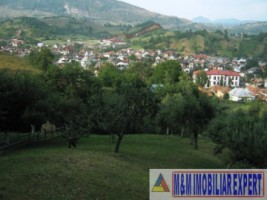 teren-extravilan-5000-mp-de-vanzare-rucar-arges-ideal-pentru-activitati-agricole-sau-proiecte-de-turism-rural-5