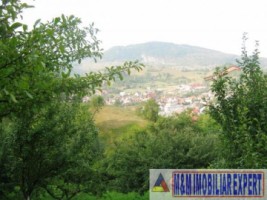 teren-extravilan-5000-mp-de-vanzare-rucar-arges-ideal-pentru-activitati-agricole-sau-proiecte-de-turism-rural-6