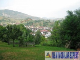 teren-extravilan-5000-mp-de-vanzare-rucar-arges-ideal-pentru-activitati-agricole-sau-proiecte-de-turism-rural-7