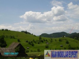 teren-extravilan-21-ha-de-vanzare-in-dealul-sasului-dambovicioara-arges-ideal-pentru-dezvoltari-turistice-si-agricole-4