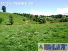 teren-extravilan-21-ha-de-vanzare-in-dealul-sasului-dambovicioara-arges-ideal-pentru-dezvoltari-turistice-si-agricole-8