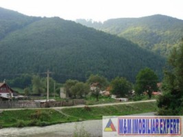 teren-intravilan-1074-mp-in-rucar-arges-locul-ideal-pentru-casa-ta-de-vis-sau-investitia-perfecta