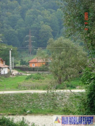 teren-intravilan-1074-mp-in-rucar-arges-locul-ideal-pentru-casa-ta-de-vis-sau-investitia-perfecta-1