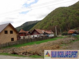 teren-intravilan-1074-mp-in-rucar-arges-locul-ideal-pentru-casa-ta-de-vis-sau-investitia-perfecta-2