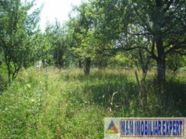 teren-1427-mp-intravilan-valea-mare-pravat-3