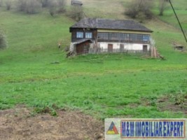 casa-3-camere-teren-5400-mp-parcelabil-dambovicioara-1