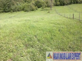 teren-intravilan-2800-mp-de-vanzare-in-ciocanu-izvor-dambovicioara-arges-ideal-pentru-proiecte-turistice-si-rezidentiale