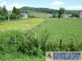 teren-intravilan-de-16-ha-in-apa-sarata-campulung-muscel-arges-ideal-pentru-dezvoltari-economice