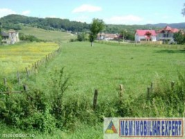 teren-intravilan-de-16-ha-in-apa-sarata-campulung-muscel-arges-ideal-pentru-dezvoltari-economice-1