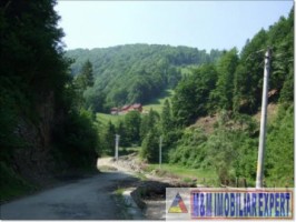 teren-extravilan-6200-mp-de-vanzare-rucar-arges-ideal-pentru-proiecte-agricole-sau-turism-rural