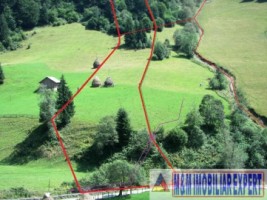 teren-extravilan-6200-mp-de-vanzare-rucar-arges-ideal-pentru-proiecte-agricole-sau-turism-rural-2