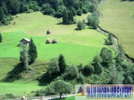 teren-extravilan-6200-mp-de-vanzare-rucar-arges-ideal-pentru-proiecte-agricole-sau-turism-rural-3