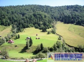 teren-extravilan-6200-mp-de-vanzare-rucar-arges-ideal-pentru-proiecte-agricole-sau-turism-rural-4