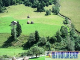 teren-extravilan-6200-mp-de-vanzare-rucar-arges-ideal-pentru-proiecte-agricole-sau-turism-rural-9