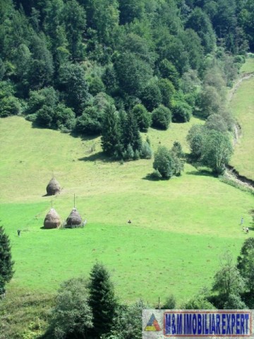 teren-extravilan-6200-mp-de-vanzare-rucar-arges-ideal-pentru-proiecte-agricole-sau-turism-rural-11