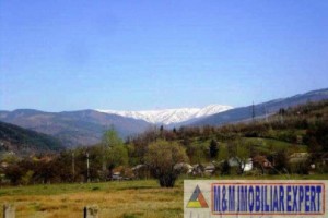 teren-extravilan-2800-mp-de-vanzare-in-bughea-de-sus-bughita-arges-ideal-pentru-dezvoltari-rezidentiale-sau-comerciale-2