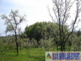 teren-de-vanzare-122-ha-intraextravilan-in-marcus-campulung-muscel-arges-ideal-pentru-proiecte-agricole-si-rezidentiale