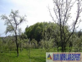 teren-de-vanzare-122-ha-intraextravilan-in-marcus-campulung-muscel-arges-ideal-pentru-proiecte-agricole-si-rezidentiale-9