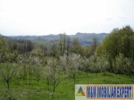 teren-de-vanzare-122-ha-intraextravilan-in-marcus-campulung-muscel-arges-ideal-pentru-proiecte-agricole-si-rezidentiale-8