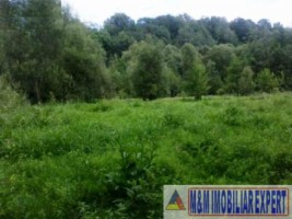 teren-extravilan-3000-mp-de-vanzare-in-bughea-de-jos-ideal-pentru-activitati-agricole-2