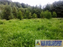 teren-extravilan-3000-mp-de-vanzare-in-bughea-de-jos-ideal-pentru-activitati-agricole-4