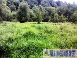 teren-extravilan-3000-mp-de-vanzare-in-bughea-de-jos-ideal-pentru-activitati-agricole-6