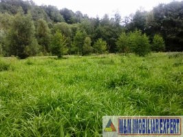 teren-extravilan-3000-mp-de-vanzare-in-bughea-de-jos-ideal-pentru-activitati-agricole-8