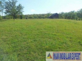 teren-extravilan-4448-mp-in-bughea-de-jos-oportunitate-pentru-proiecte-agricole-sau-comerciale-1