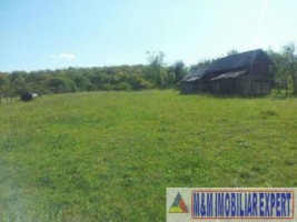 teren-extravilan-4448-mp-in-bughea-de-jos-oportunitate-pentru-proiecte-agricole-sau-comerciale-2