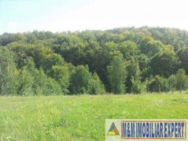 teren-extravilan-4448-mp-in-bughea-de-jos-oportunitate-pentru-proiecte-agricole-sau-comerciale-4