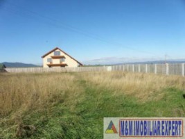 teren-1536-mp-intravilan-de-vanzare-in-halchiu-brasov-ideal-pentru-constructii-rezidentiale-2