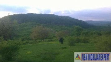 teren-extravilan-2500-mp-de-vanzare-in-boteni-arges-oportunitate-pentru-investitii-agricole