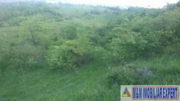 teren-extravilan-2500-mp-de-vanzare-in-boteni-arges-oportunitate-pentru-investitii-agricole-3