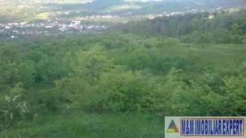 teren-extravilan-2500-mp-de-vanzare-in-boteni-arges-oportunitate-pentru-investitii-agricole-5